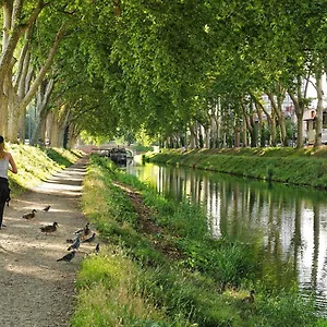 T1bis Centre-ville - Calme&confort Toulouse